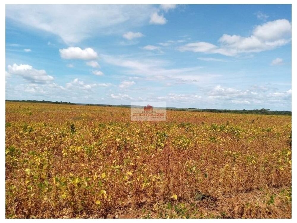 Fazenda à venda, 2256m² - Foto 1