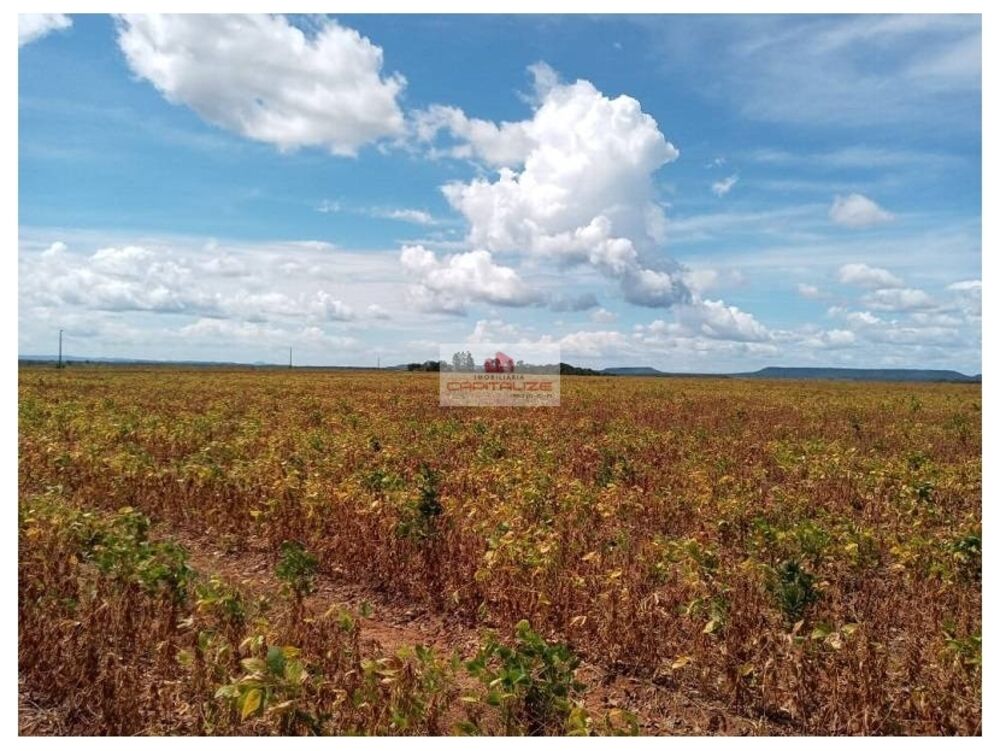 Fazenda à venda, 2256m² - Foto 4