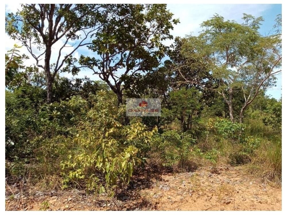 Fazenda à venda, 2256m² - Foto 11