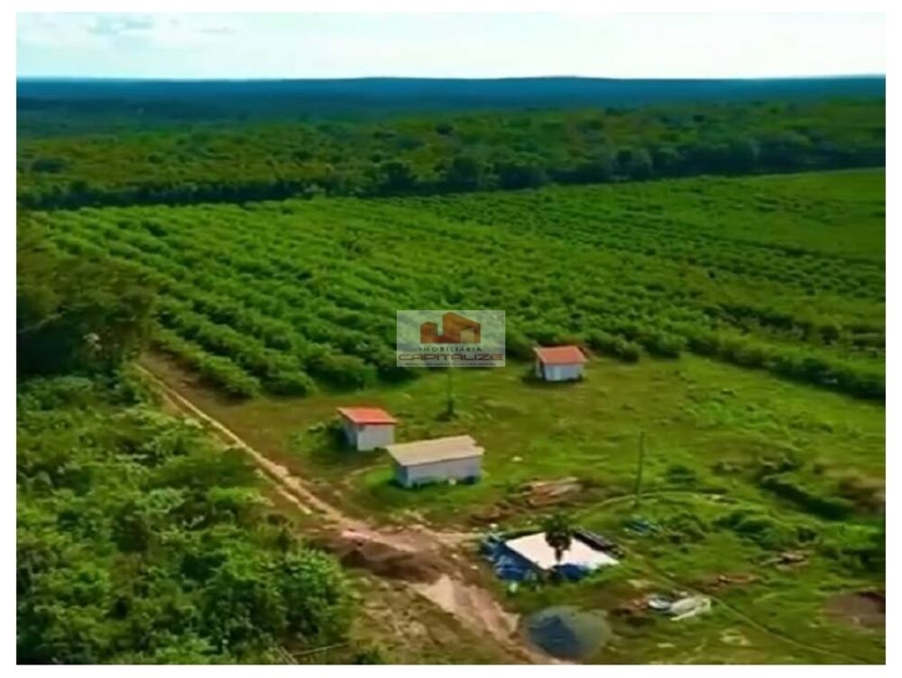 Fazenda à venda, 295m² - Foto 1