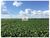 Fazenda, 2220 m² - Foto 2