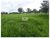 Fazenda-Sítio-Chácara, 5 hectares - Foto 1