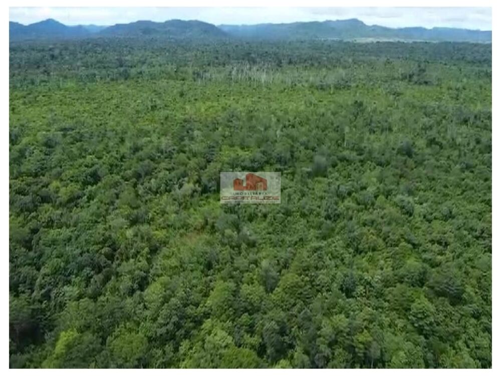 Fazenda, 7744 m² - Foto 4