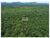 Fazenda, 7744 m² - Foto 4