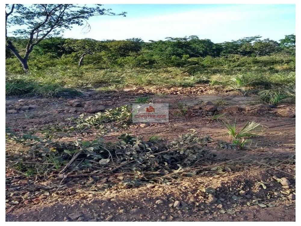 Fazenda à venda, 1200m² - Foto 5