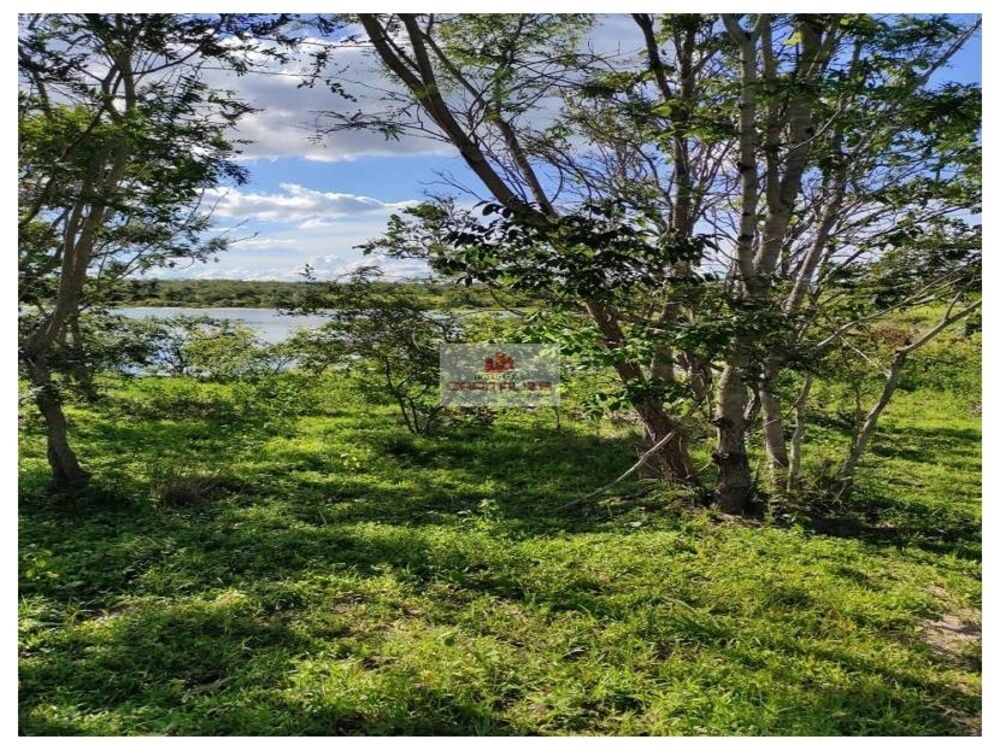 Fazenda à venda, 1200m² - Foto 8