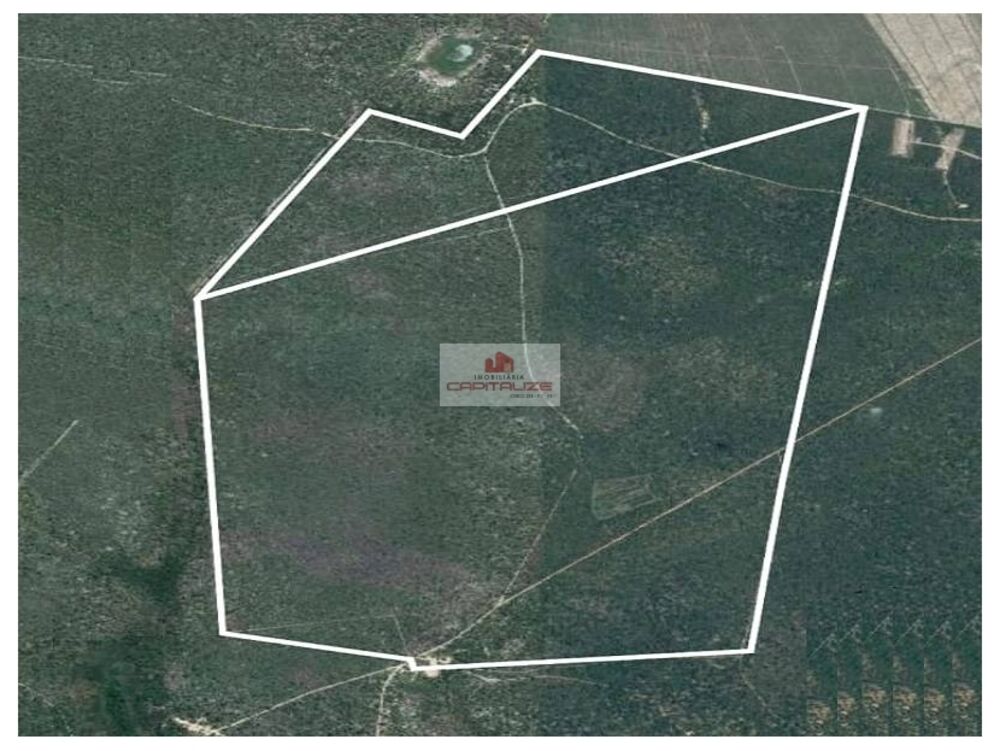 Fazenda à venda, 1200m² - Foto 6