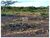 Fazenda, 1200 m² - Foto 5