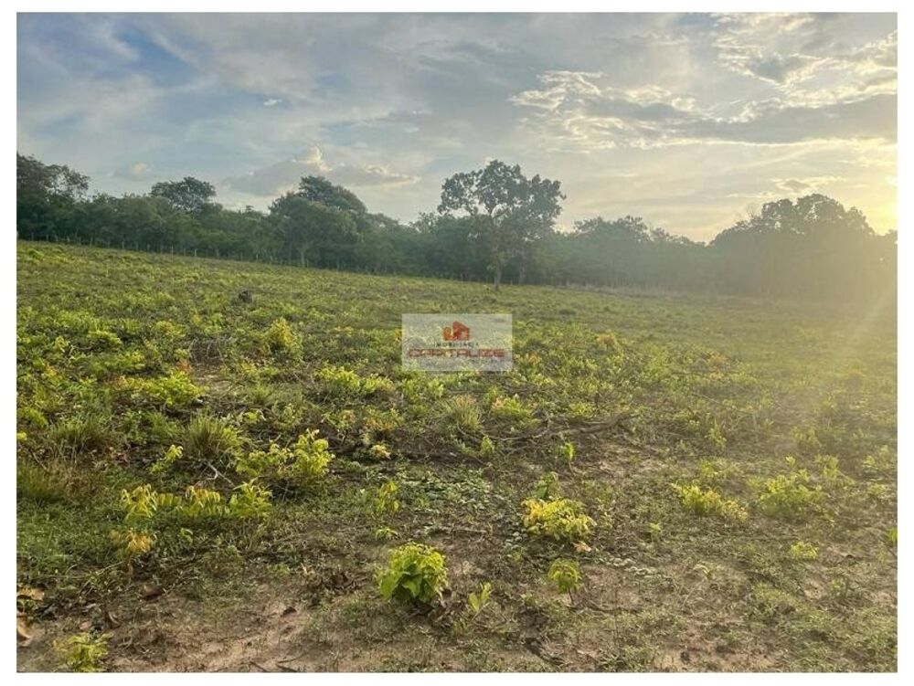 Fazenda à venda, 109m² - Foto 4