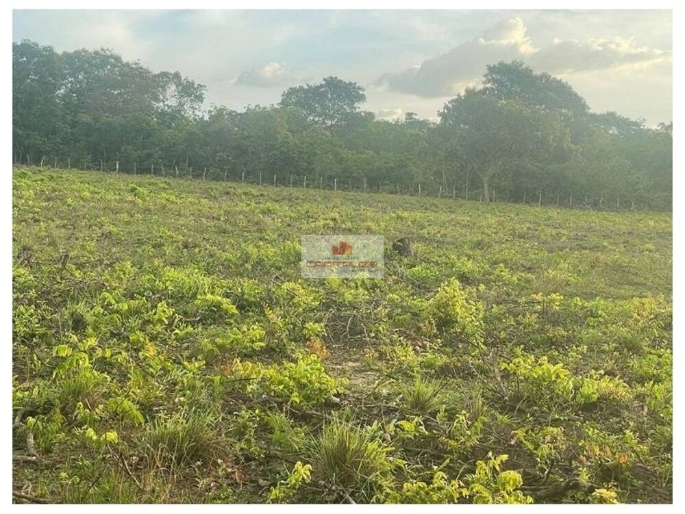 Fazenda à venda, 109m² - Foto 1
