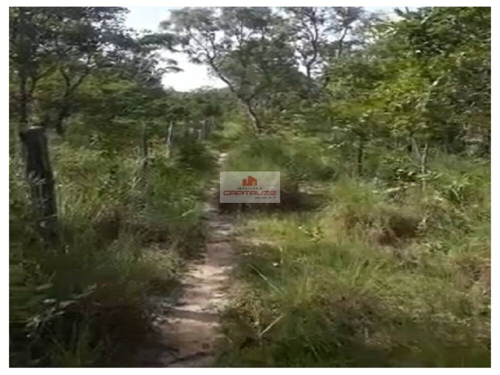 Fazenda à venda, 4100m² - Foto 2