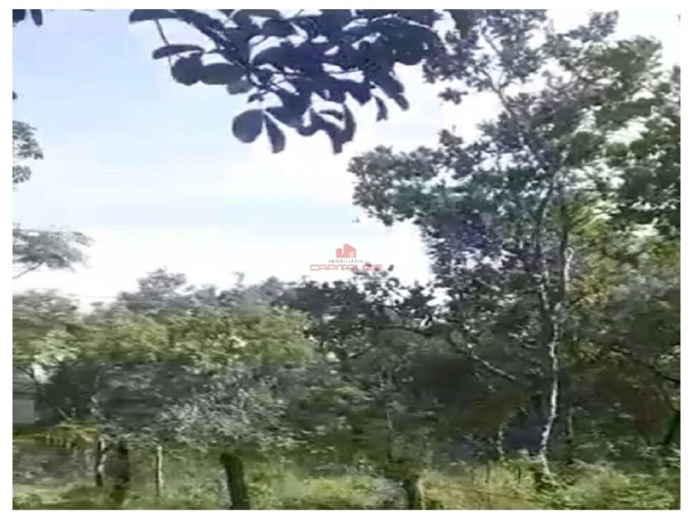Fazenda à venda, 4100m² - Foto 1