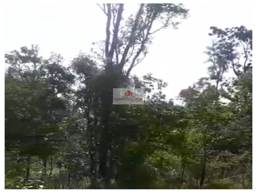 Fazenda à venda, 4100m² - Foto 3
