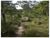 Fazenda, 4100 m² - Foto 2