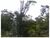 Fazenda, 4100 m² - Foto 3