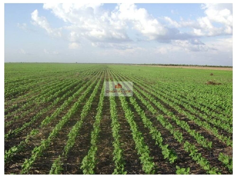 Fazenda à venda, 2500m² - Foto 2