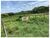 Fazenda, 2 hectares - Foto 2