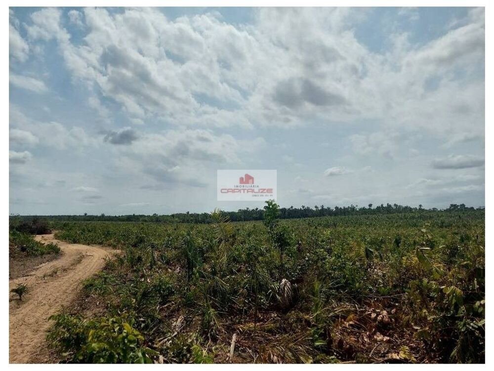 Fazenda à venda, 3000m² - Foto 2