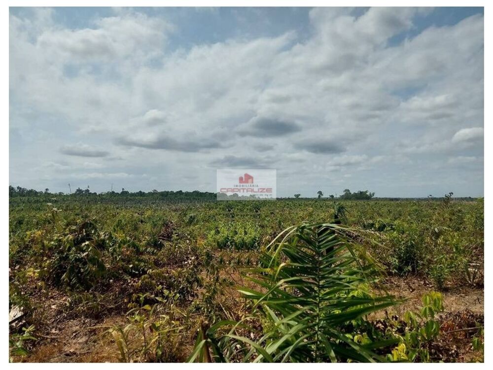 Fazenda à venda, 3000m² - Foto 1