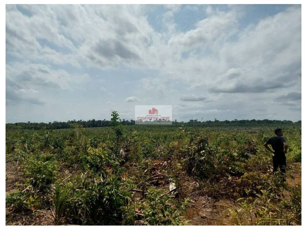 Fazenda à venda, 3000m² - Foto 3