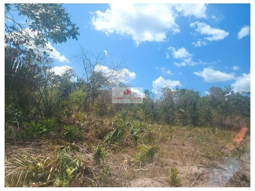Fazenda à venda, 3000m² - Foto 4