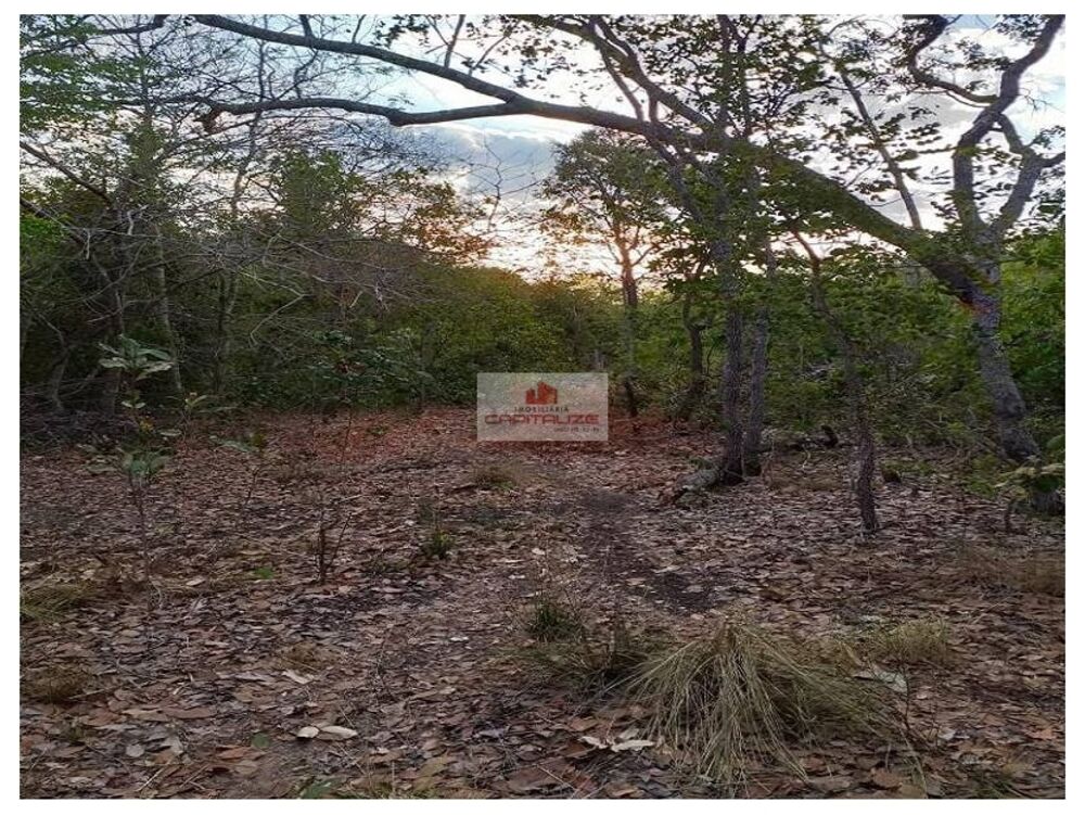 Fazenda, 10000 m² - Foto 5