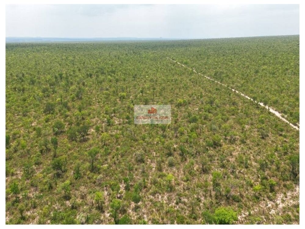 Fazenda, 10000 m² - Foto 8