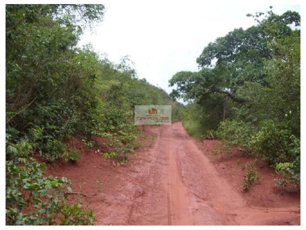 Fazenda, 10000 m² - Foto 6