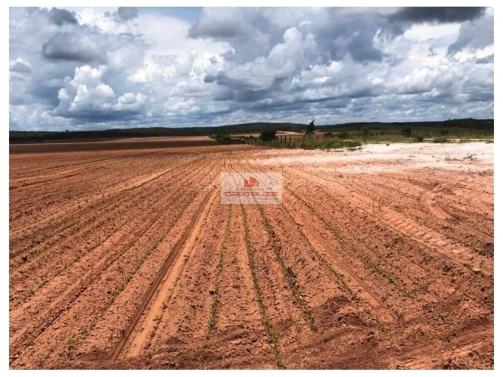 Fazenda à venda, 2000m² - Foto 1