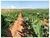 Fazenda, 2000 m² - Foto 3