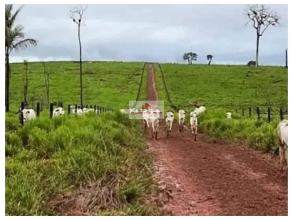 Fazenda à venda, 5060m² - Foto 3