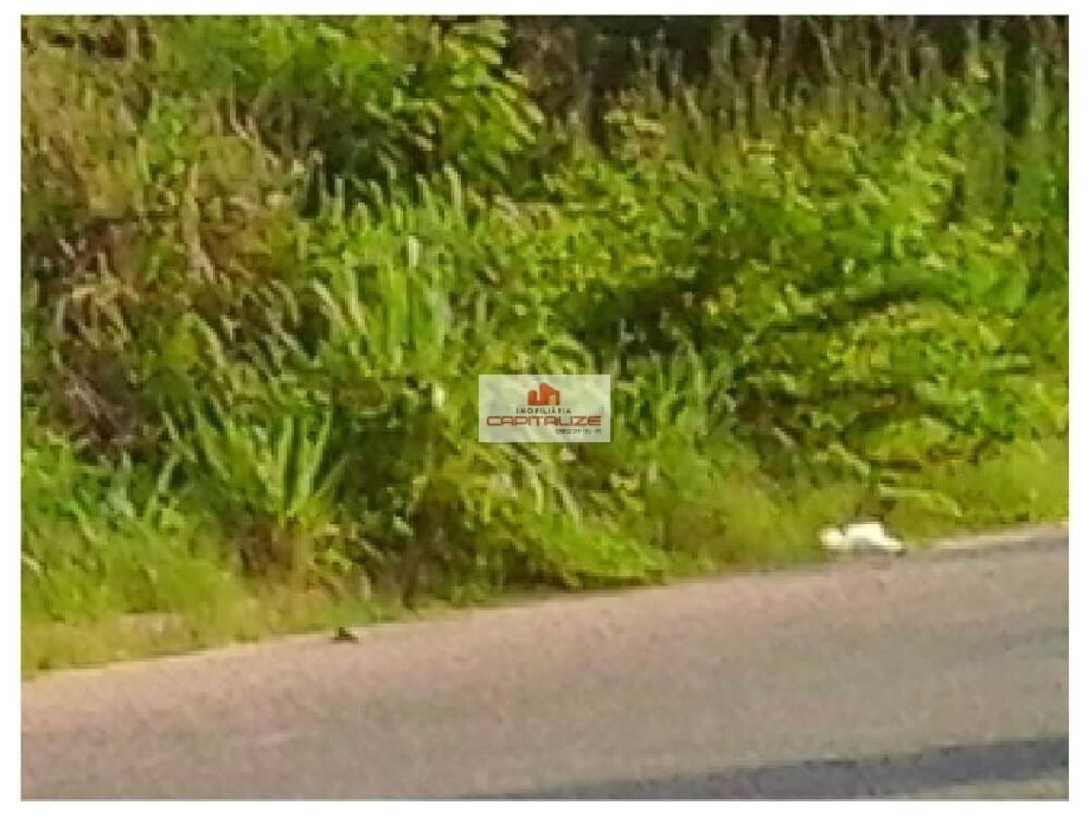 Terreno, 5 m² - Foto 1