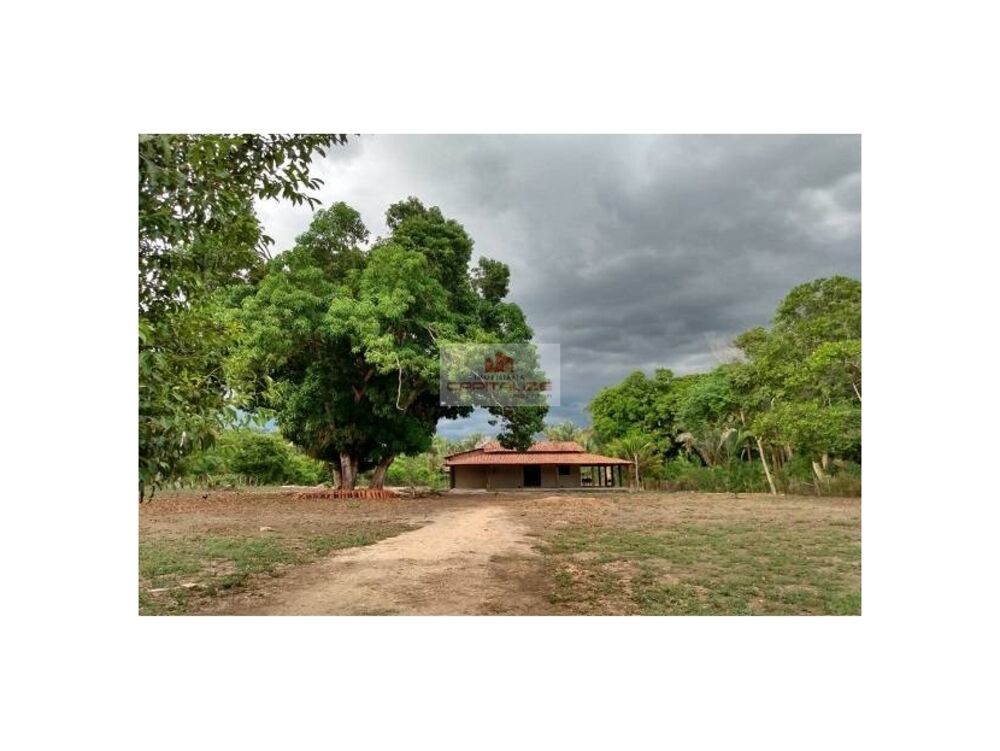 Casa à venda com 4 quartos, 5300m² - Foto 8