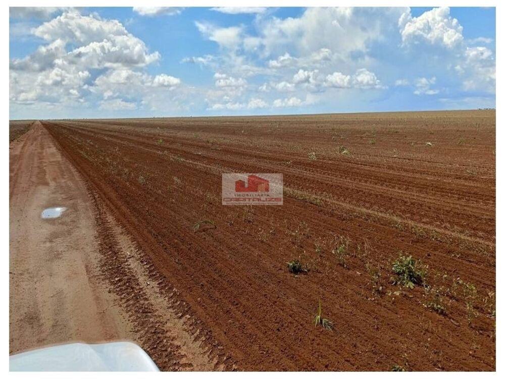 Fazenda, 1 hectares - Foto 4