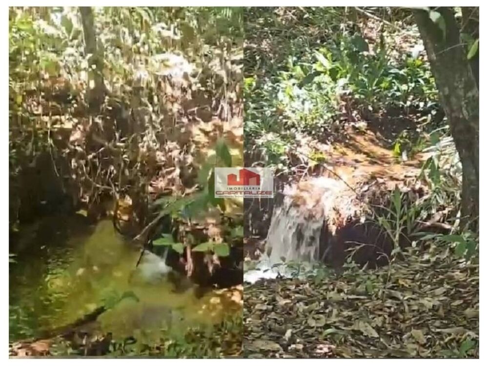 Fazenda à venda, 1000m² - Foto 1