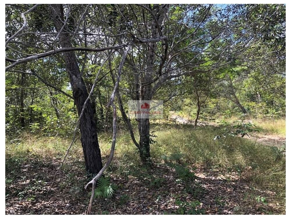 Fazenda-Sítio-Chácara, 3100 m² - Foto 1