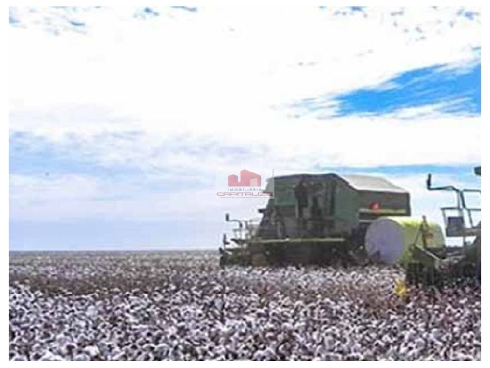 Fazenda, 2 hectares - Foto 3