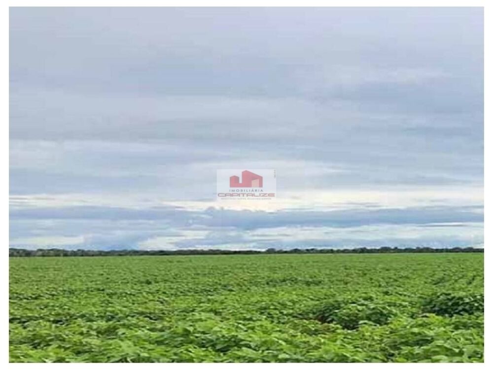 Fazenda, 2 hectares - Foto 1