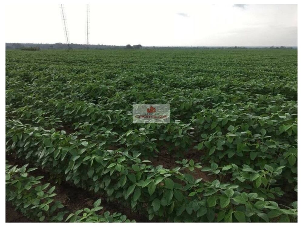 Fazenda à venda, 4800m² - Foto 2