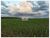 Fazenda-Sítio-Chácara, 4800 m² - Foto 4