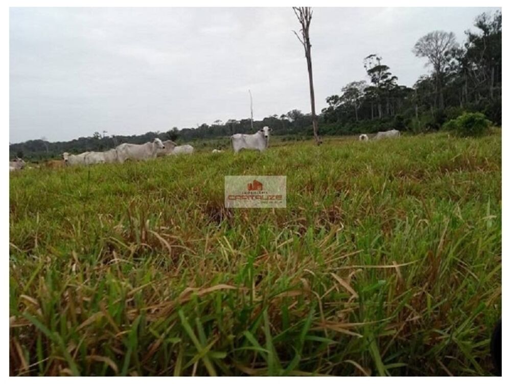 Fazenda à venda, 1160m² - Foto 1