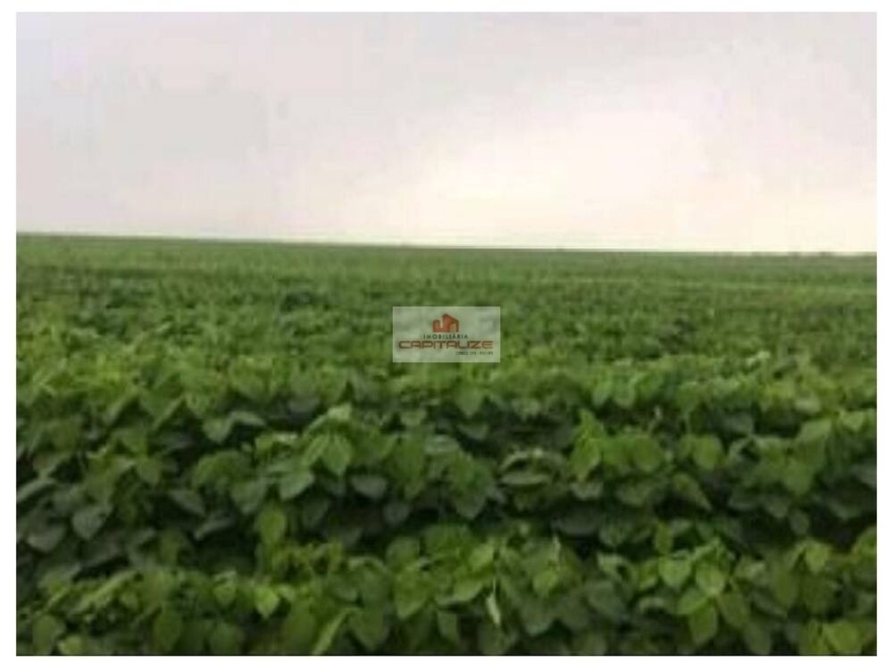 Fazenda à venda, 35000m² - Foto 1