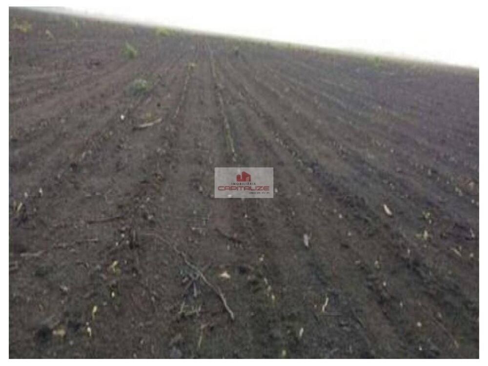 Fazenda à venda, 35000m² - Foto 3