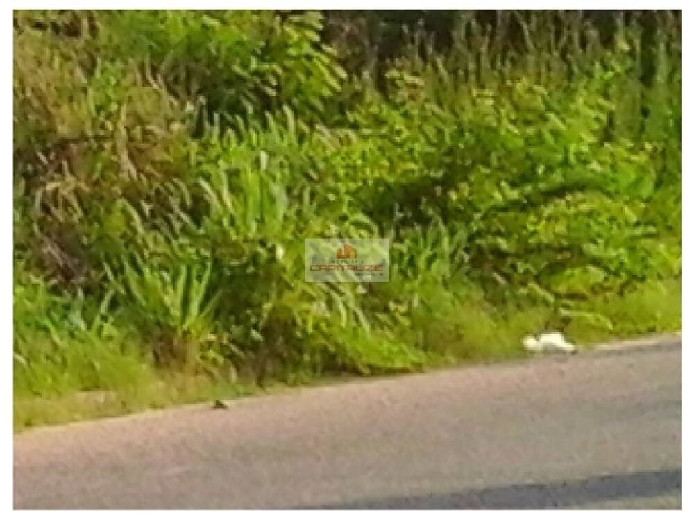 Terreno, 5 m² - Foto 1