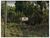 Terreno, 10000 m² - Foto 1