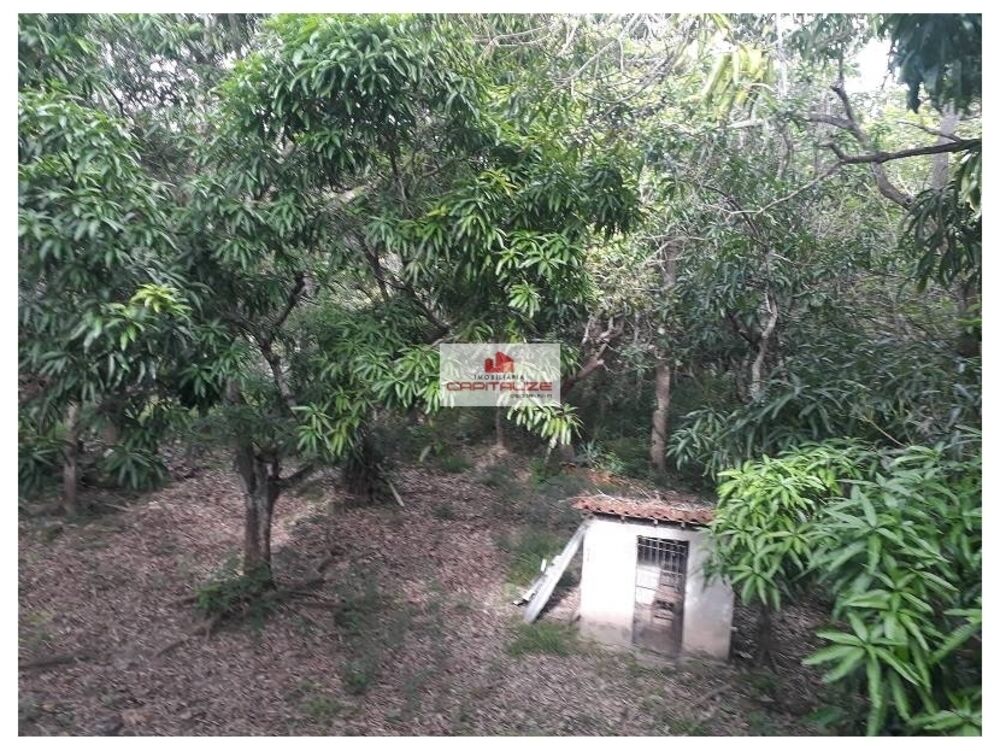 Casa à venda com 5 quartos, 2m² - Foto 9