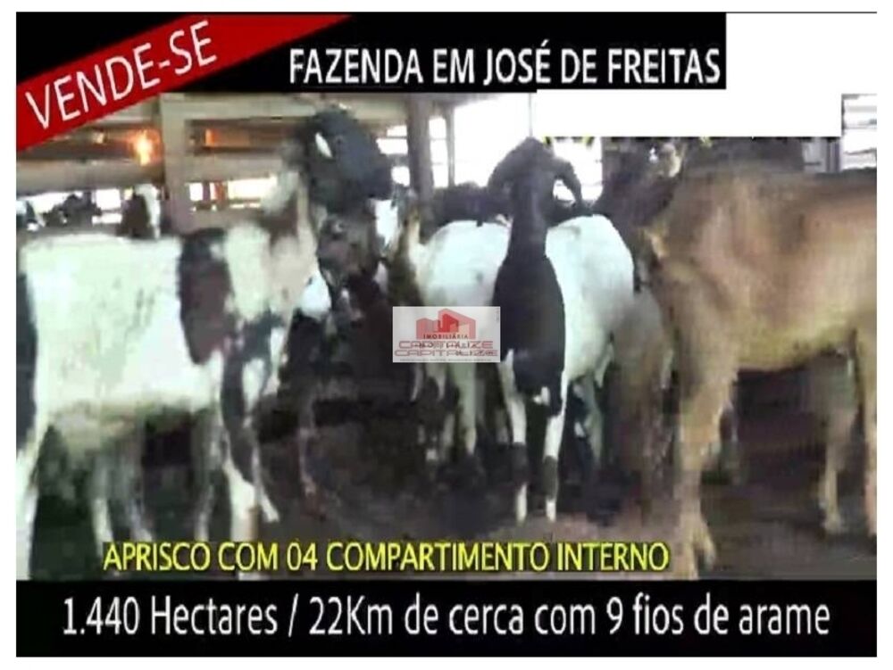 Fazenda à venda com 7 quartos, 1440m² - Foto 4