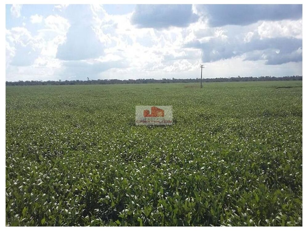 Fazenda, 3800 m² - Foto 4