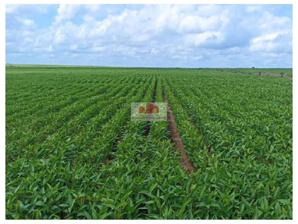 Fazenda, 3800 m² - Foto 1