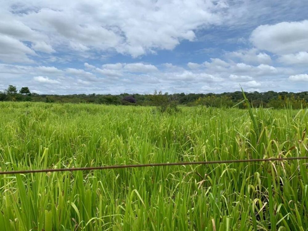 Fazenda à venda, 693m² - Foto 3